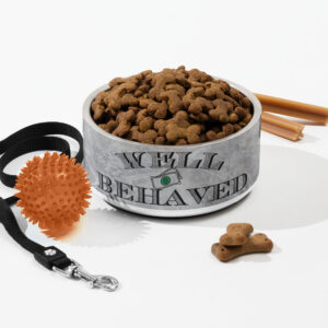 Well Behaved - Pet bowl